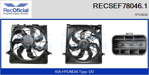 RECSEF78046.1