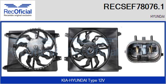 RECSEF78076.1