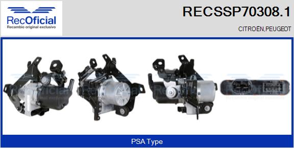 RECSSP70308.1
