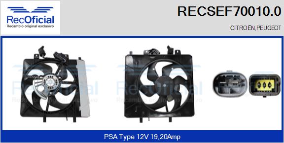 RECSEF70010.0