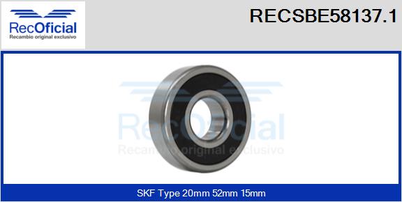 RECSBE58137.1