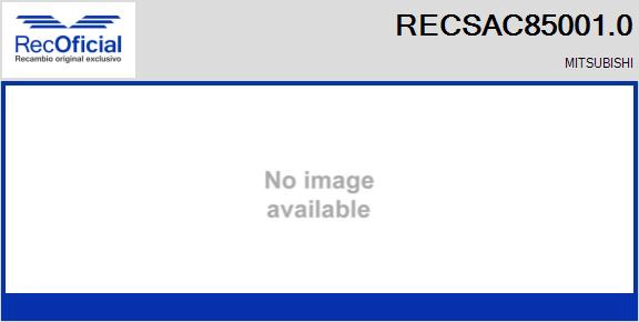 RECSAC85001.0