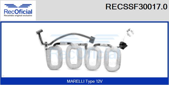 RECSSF30017.0