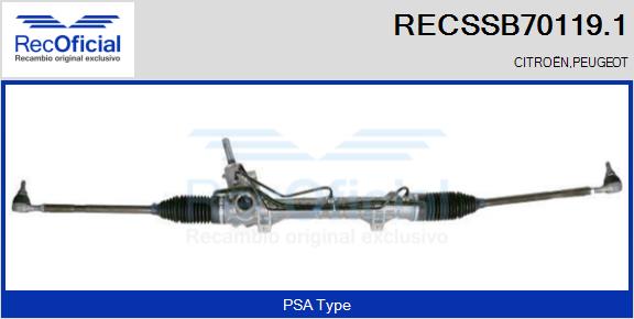 RECSSB70119.1