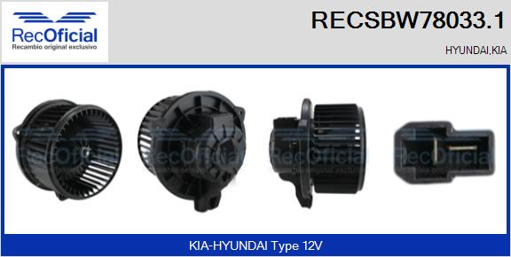 RECSBW78033.1