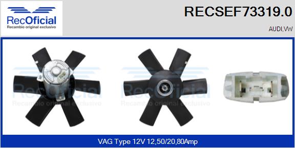 RECSEF73319.0