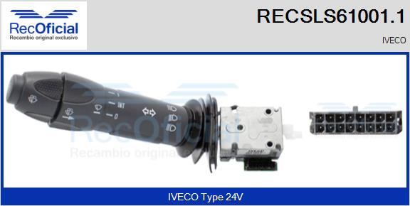 RECSLS61001.1