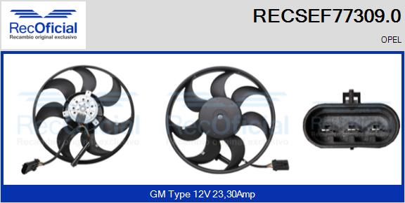 RECSEF77309.0