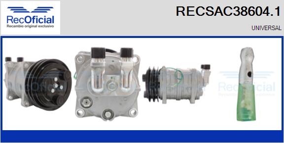 RECSAC38604.1