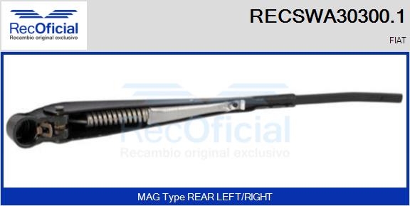 RECSWA30300.1