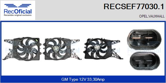 RECSEF77030.1