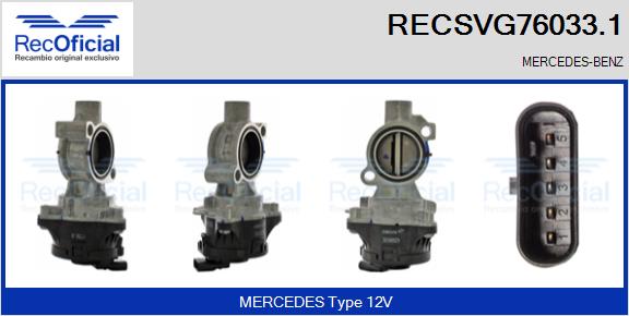 RECSVG76033.1