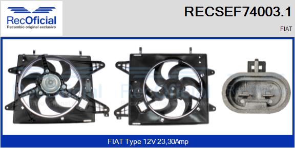 RECSEF74003.1
