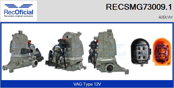 RECSMG73009.1
