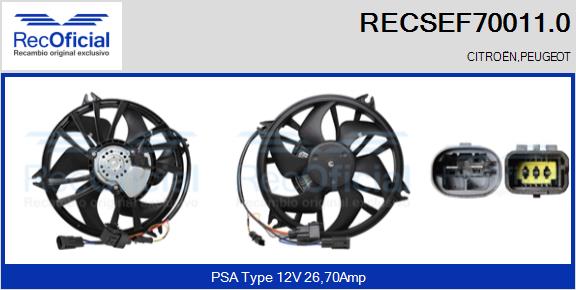 RECSEF70011.0