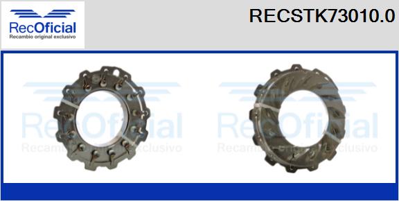 RECSTK73010.0