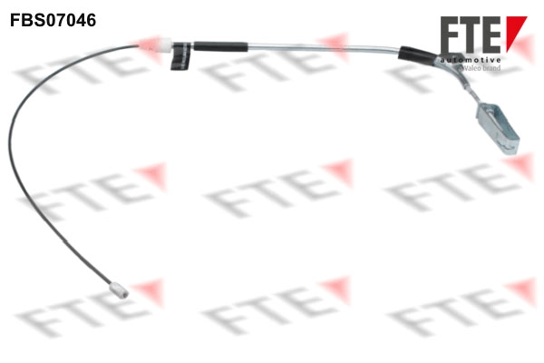 FBS07046