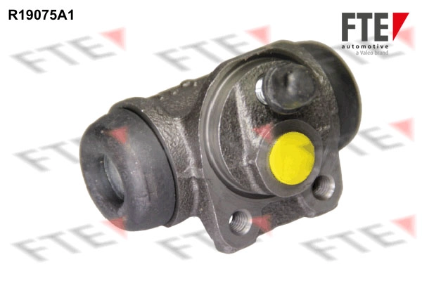 R19075A1