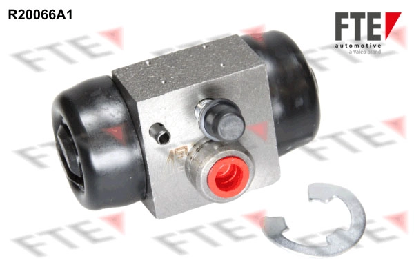 R20066A1