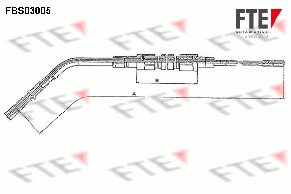 FBS03005