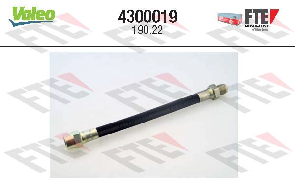 4300019