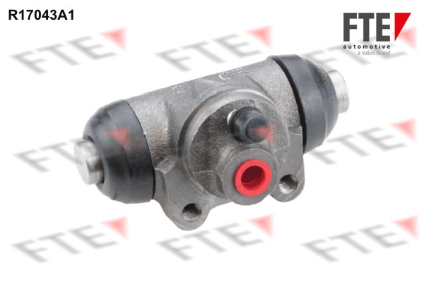 R17043A1