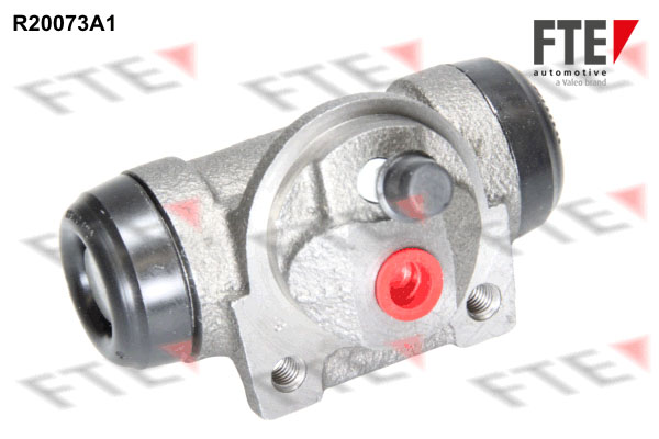 R20073A1
