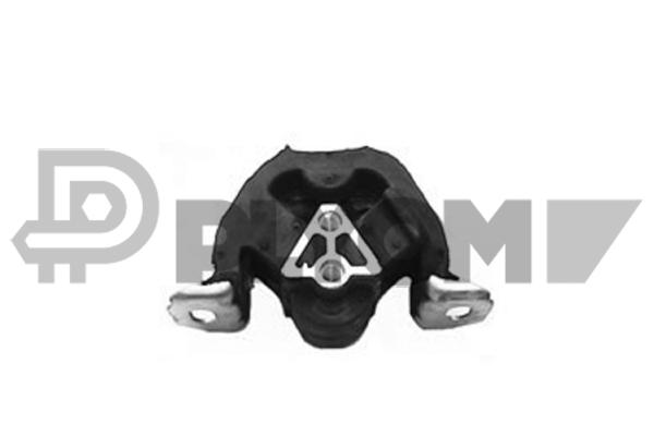 P480441