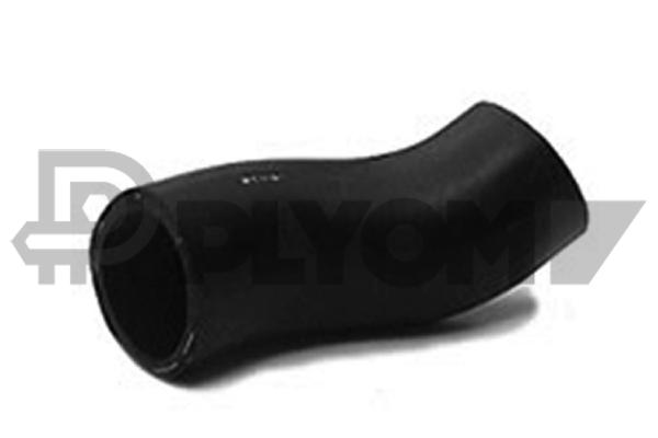 P186006