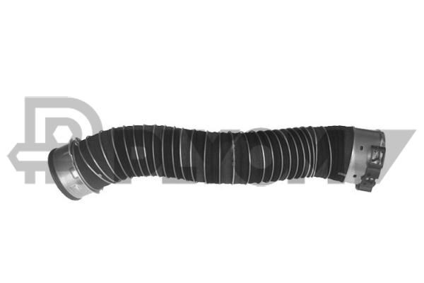 P206021