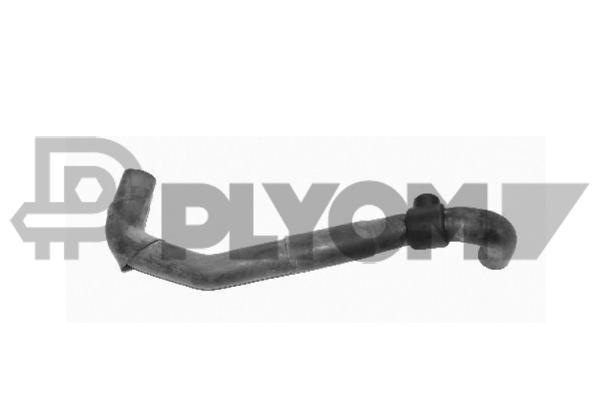 P066586