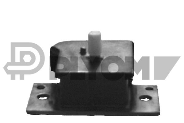 P060660