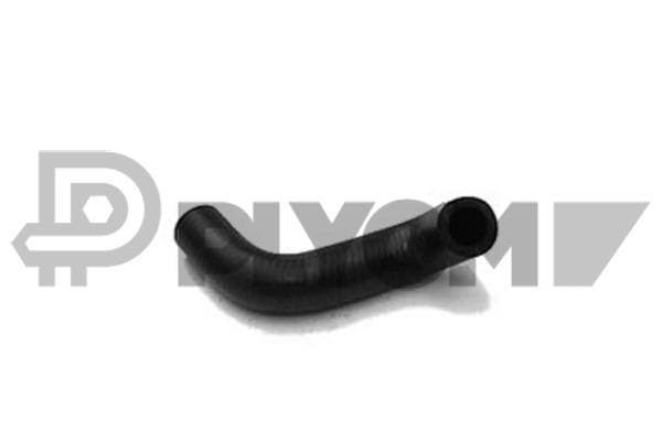P025126