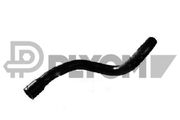 P486509