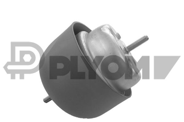 P460905