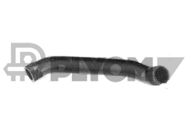 P036022