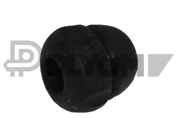 P021181