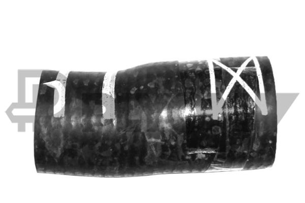 P765568