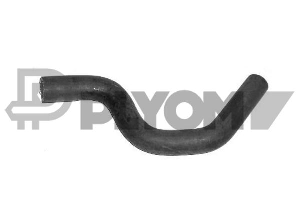 P031223