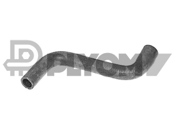 P026306
