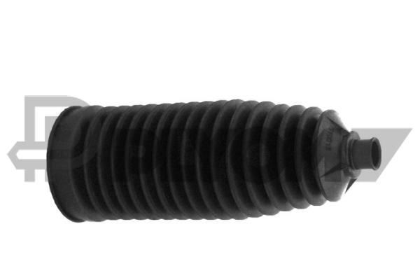 P210529