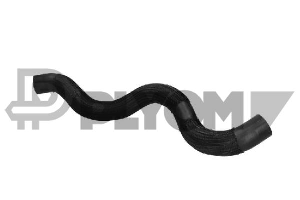 P776313