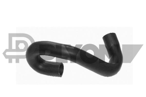 P486521