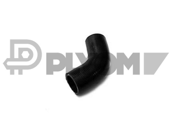 P086251