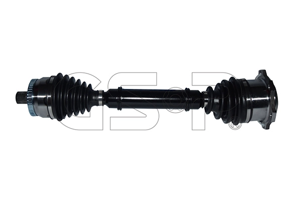 203036