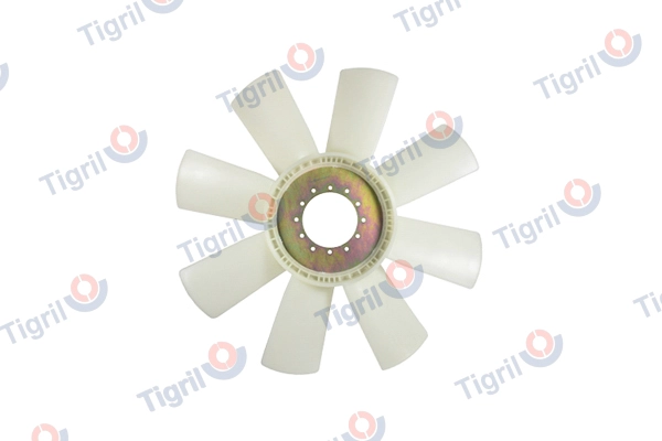 MA01.0019