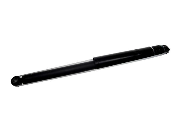 Z00539