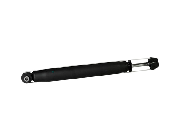 Z00302