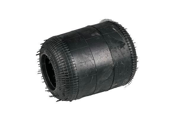 Z12909