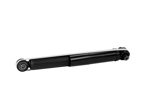 Z00251